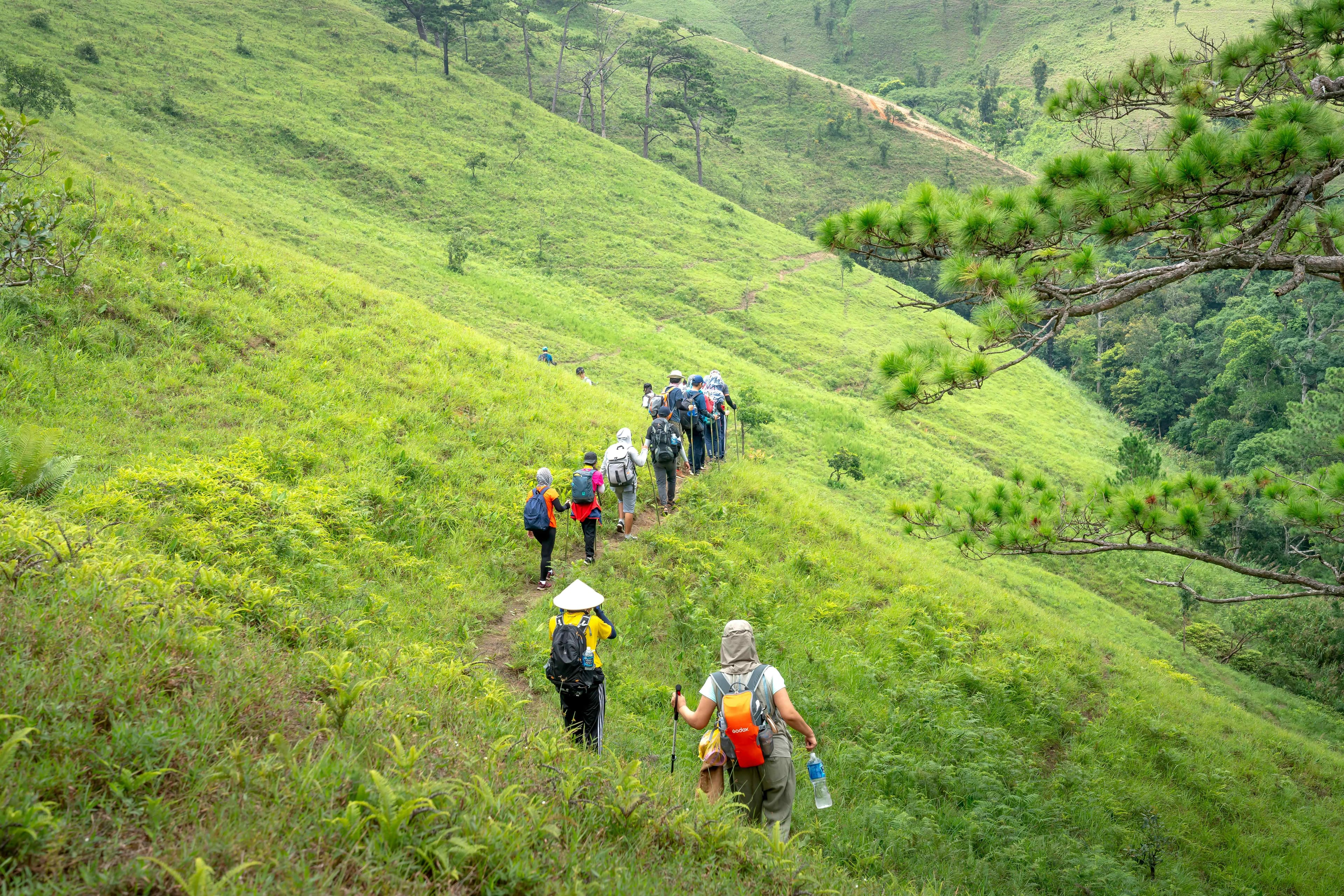 Hà Giang